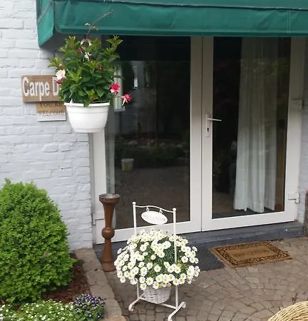 Carpe Diem Bed & Breakfast