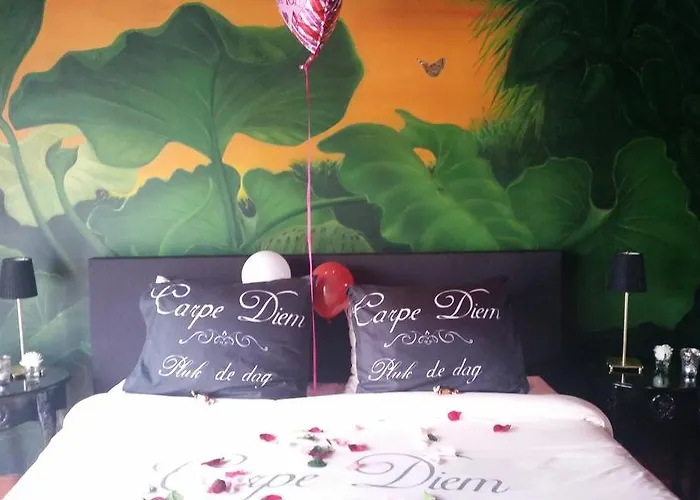 Carpe Diem Bed and breakfast